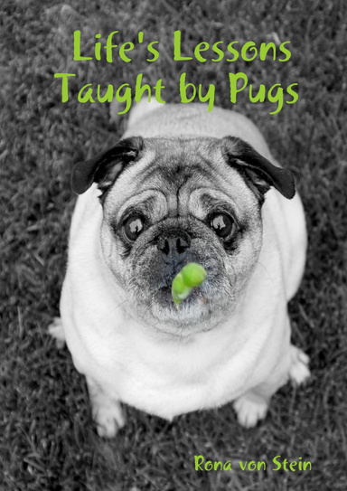 Life's Lessons Taught by Pugs