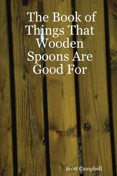 The Book of Things That Wooden Spoons Are Good For