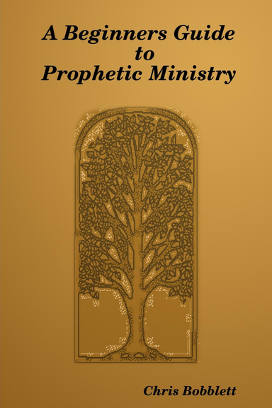 A Beginners Guide to Prophetic Ministry