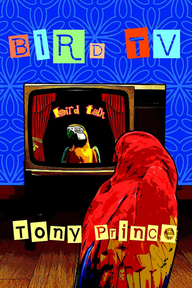 Bird TV