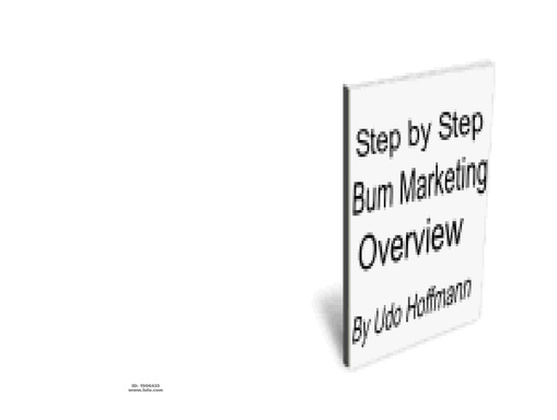 Step by Step Bum Marketing Overview