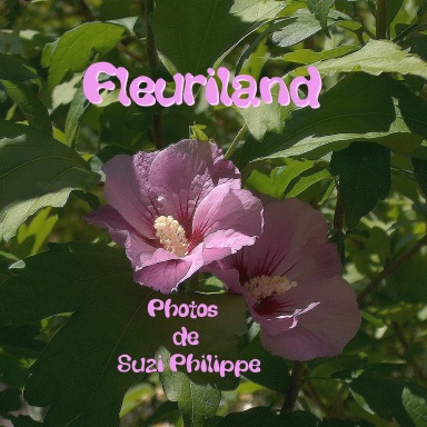 Fleuriland