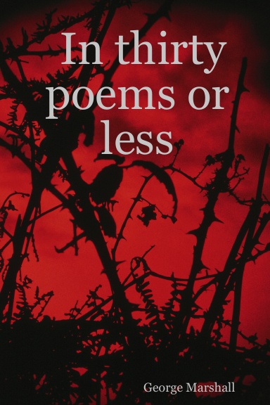 In thirty poems or less