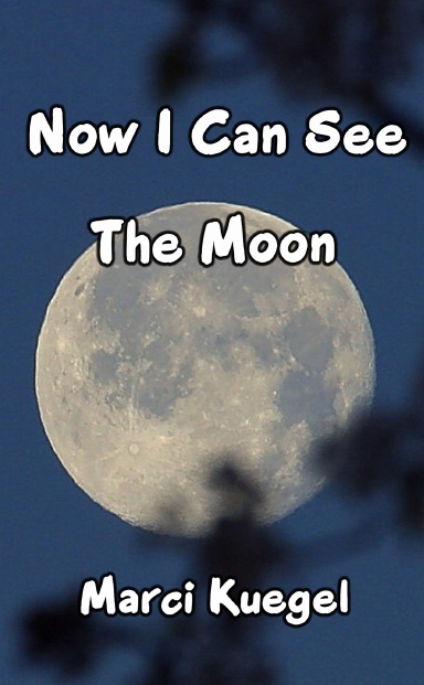 Now I Can See The Moon