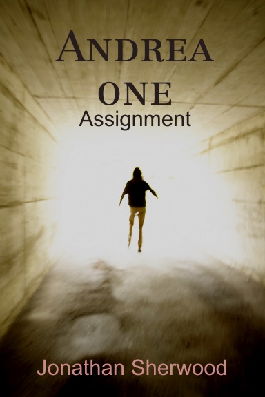 Andrea one - Assigment