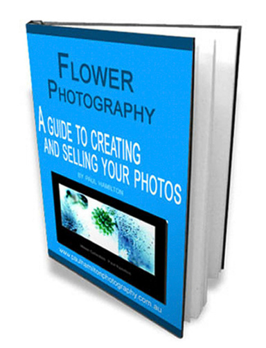 Flower Photography: A guide to creating and selling your photos.