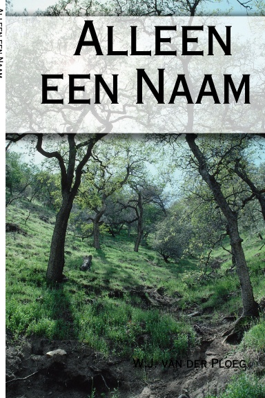 Alleen een Naam
