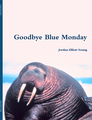 Goodbye Blue Monday