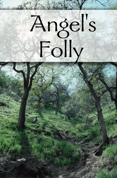 Angel's Folly