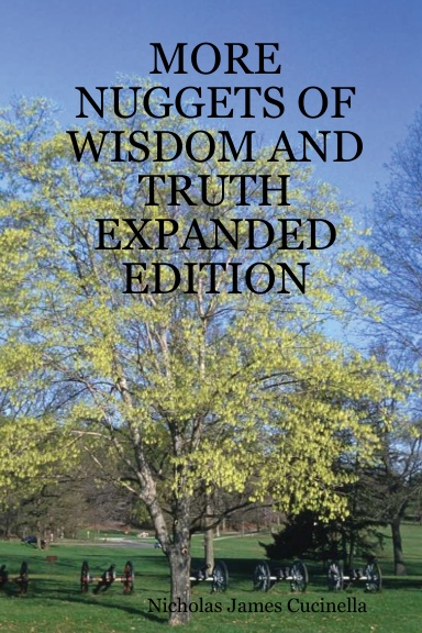 MORE NUGGETS OF WISDOM AND TRUTH EXPANDED EDITION