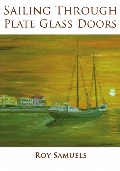 Sailing Through Plate Glass Doors