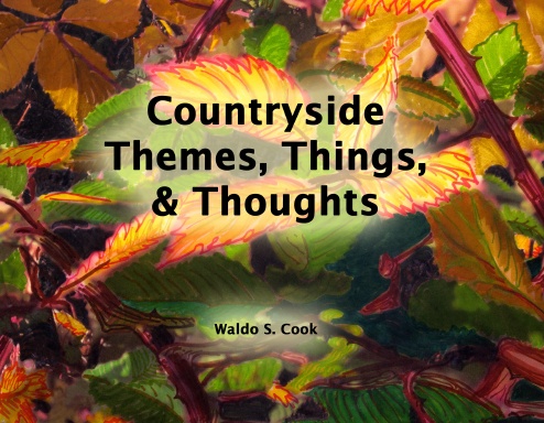 Countryside Themes, Things & Thoughts