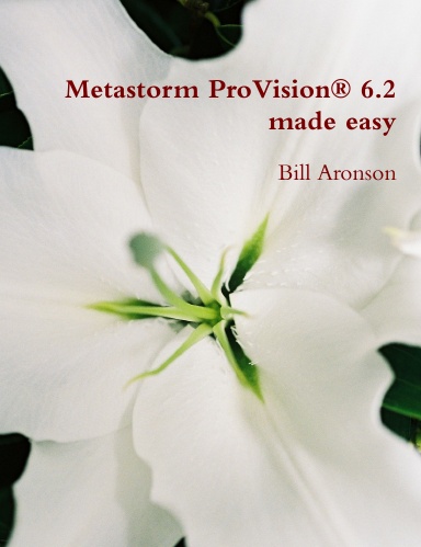 Metastorm ProVision 6.2 Made Easy