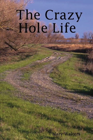 The Crazy Hole Life