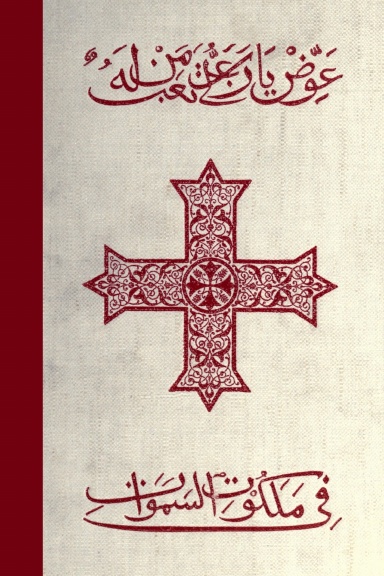 The Ancient Coptic Churches of Egypt [vol. 2]