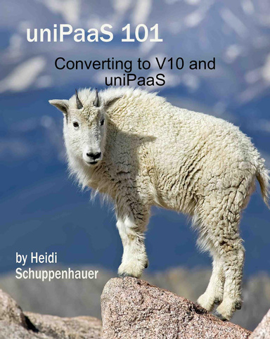 Converting to uniPaaS