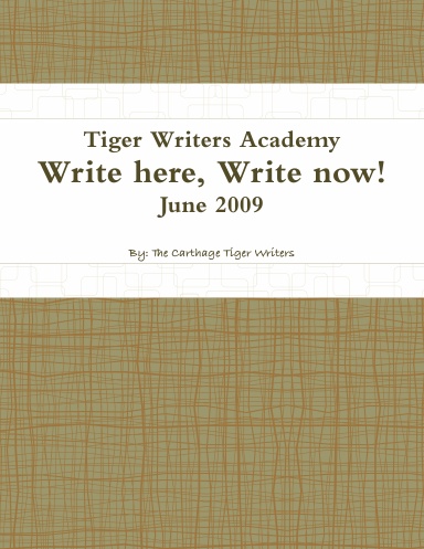 Write Here, Write Now!