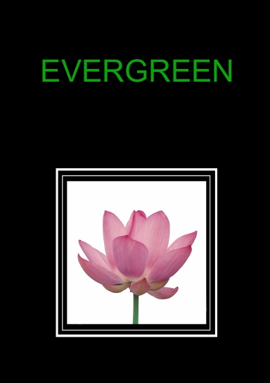 Evergreen