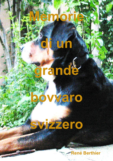 Memorie di un grande bovvaro svizzero