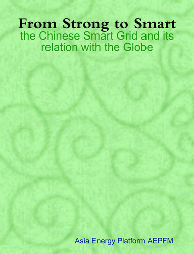 From Strong to Smart: the Chinese Smart Grid and its relation with the Globe
