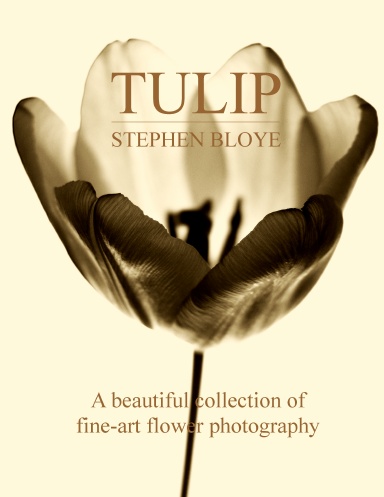 Tulip