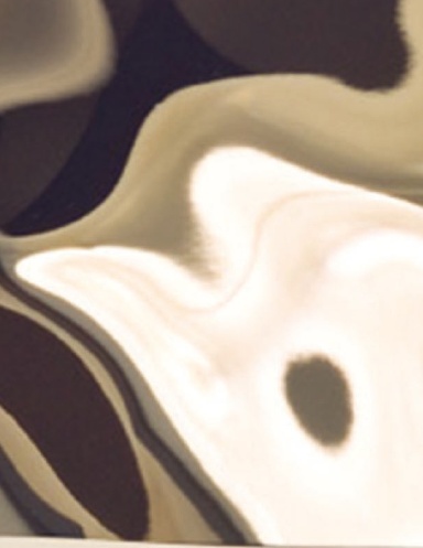 The Last Panda Just Died