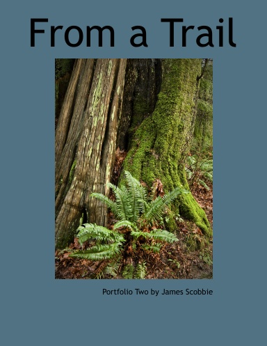 From a Trail