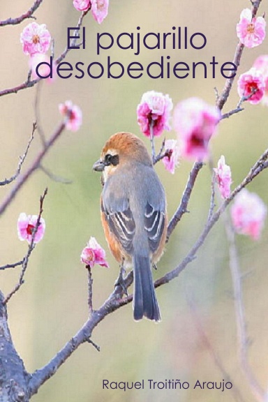 El pajarillo desobediente