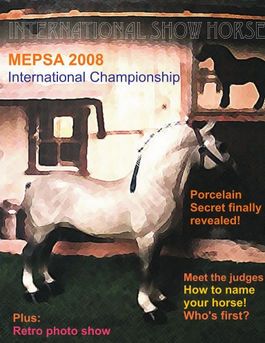 MEPSA Championship book 2008