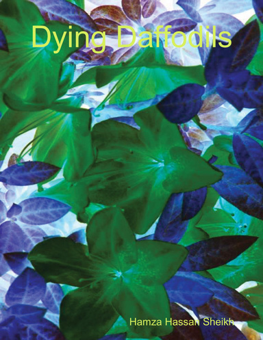 Dying Daffodils