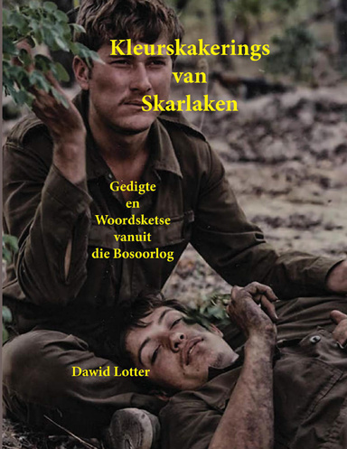 Kleurskakerings