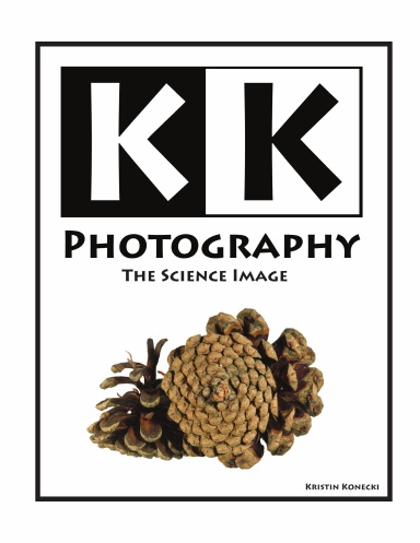 The Science Image