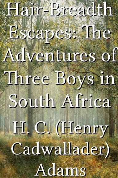 Hair-Breadth Escapes: The Adventures of Three Boys in South Africa