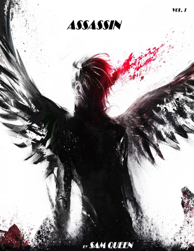 ASSASSIN VOL. 1