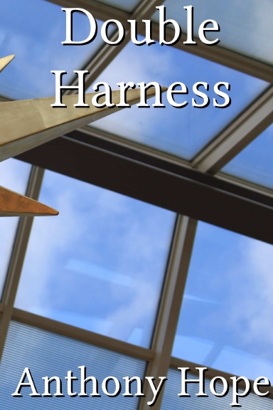 Double Harness