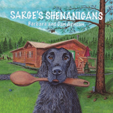 Sarge's Shenanigans