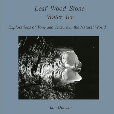 Leaf Stone Wood Water Ice