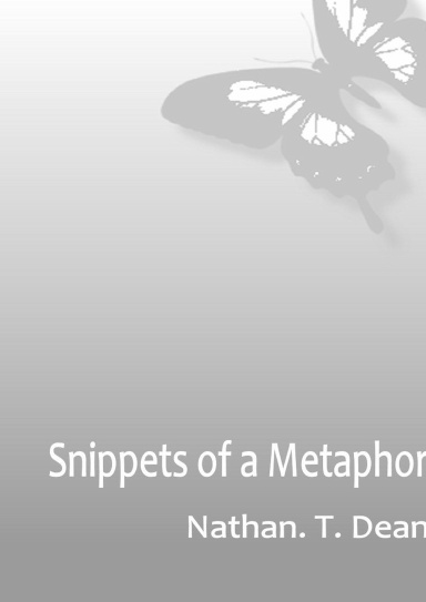 Snippets of a Metaphor