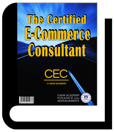 The Certified E Commerce Consultant