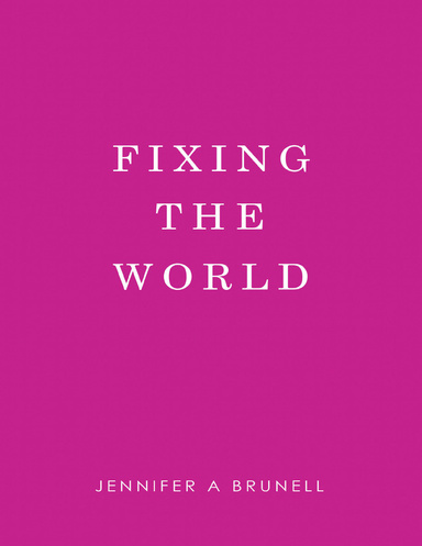 Fixing the World