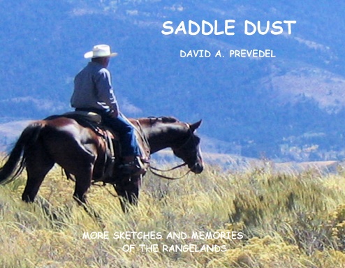 saddle dust