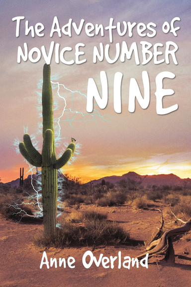 The Adventures of Novice Number Nine