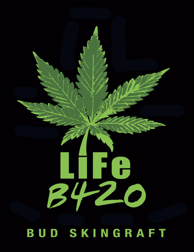 LiFe B420