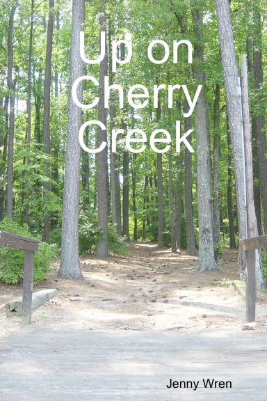 Up on Cherry Creek