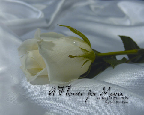 A Flower for Mara PDF