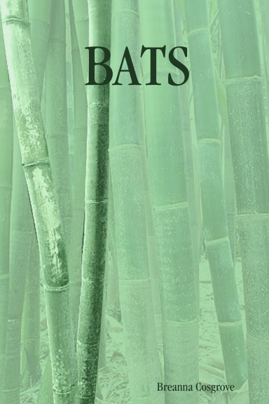 BATS