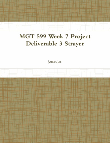 MGT 599 Week 7 Project Deliverable 3 Strayer