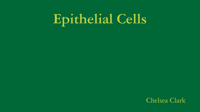 Epithelial Cells