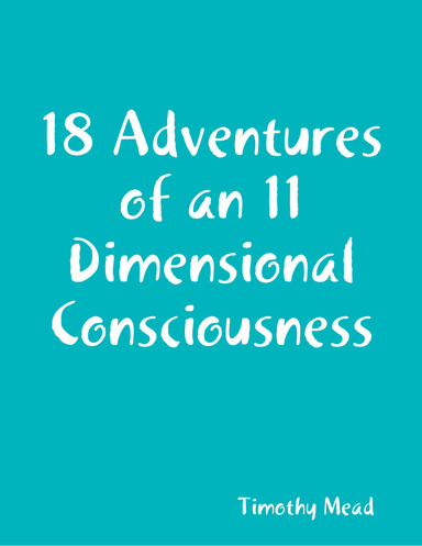 18 Adventures of an 11 Dimensional Consciousness