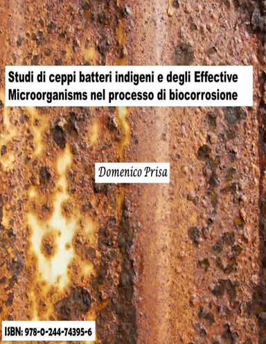 Studio di ceppi batterici indigeni e degli Effective Microorganisms nel processo di biocorrosione